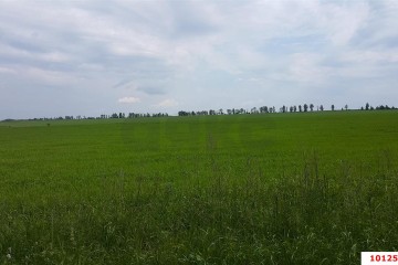 Фото №1: Коммерческая земля 358 сот. - Новотитаровская, 