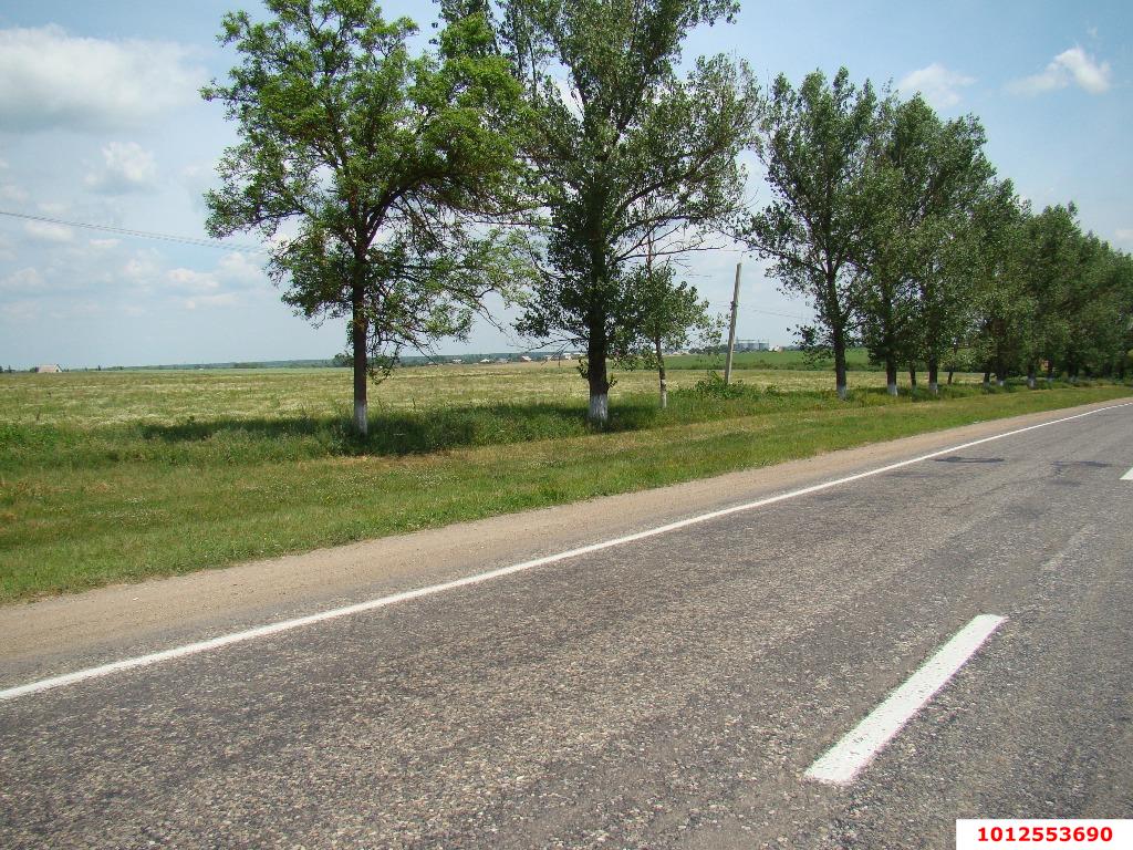 Фото №3: Коммерческая земля 358 сот. - Новотитаровская