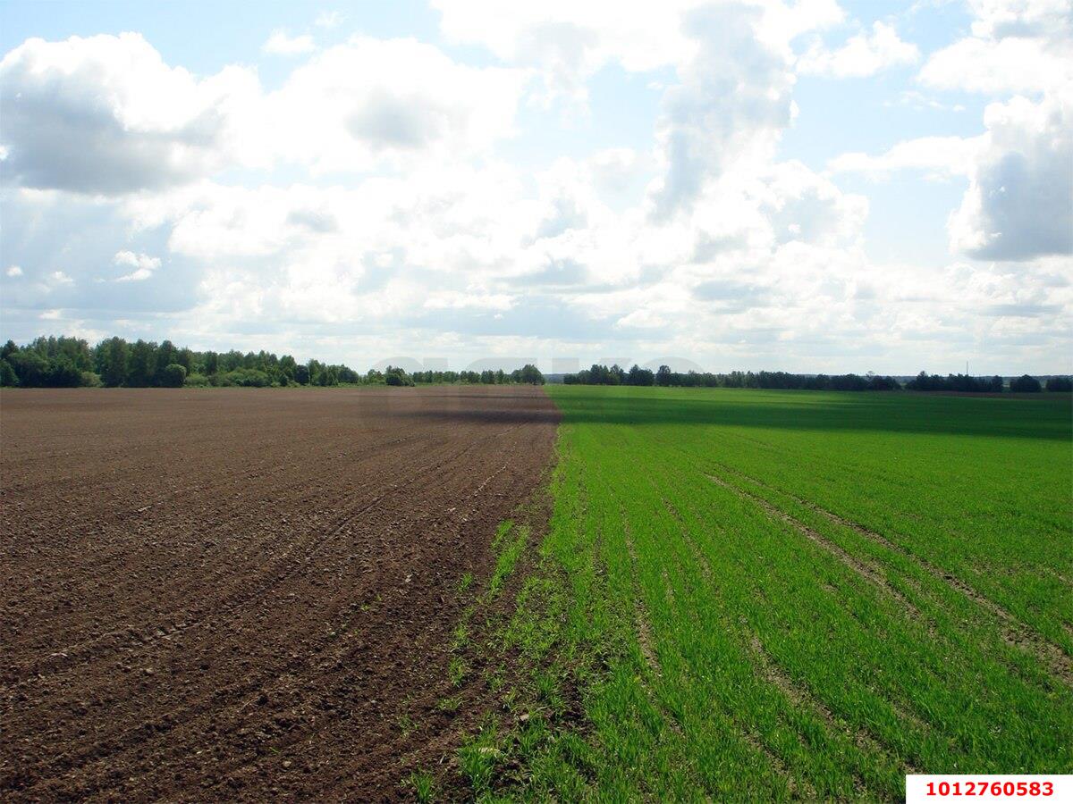 Фото №1: Коммерция 53 м² - Краснодарский край Динской район