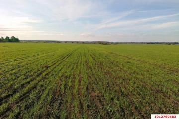 Фото №3: Коммерция 53 м² - Краснодарский край Динской район