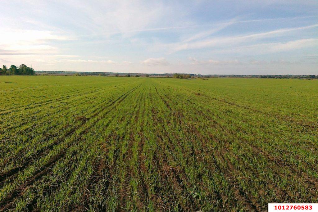 Фото №3: Коммерция 53 м² - Краснодарский край Динской район