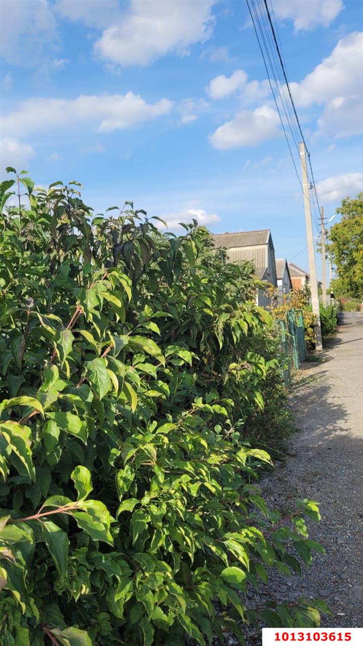 Фото №4: Земельный участок 5.2 сот. - Новый, ст Лесник, ул. Ореховая, 147