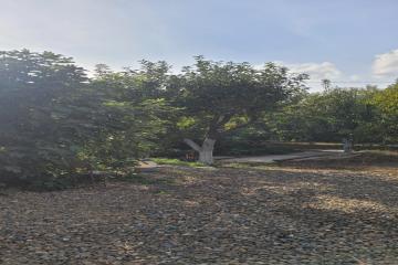 Фото №2: Земельный участок 5.2 сот. - Новый, ст Лесник, ул. Ореховая, 147