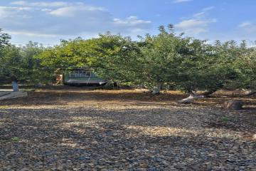 Фото №3: Земельный участок 5.2 сот. - Новый, ст Лесник, ул. Ореховая, 147