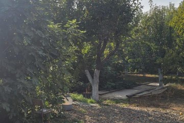 Фото №2: Участок садоводство 5.2 сот. - Новый, ст Лесник, ул. Ореховая, 147