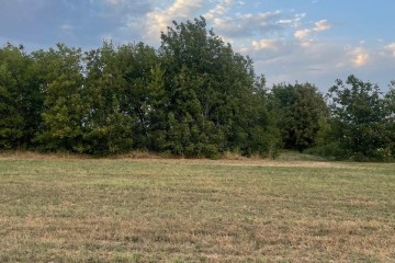 Фото №2: Участок садоводство 8.05 сот. - садовое некоммерческое товарищество Авиатор, мкр. Прикубанский внутригородской округ, ул. Тенистая