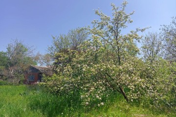 Фото №5: Земельный участок под ИЖС 10 сот. - Копанской, мкр. Прикубанский внутригородской округ, ул. Победы, 20