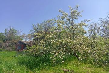 Фото №5: Земельный участок 10 сот. - Копанской, мкр. Прикубанский внутригородской округ, ул. Победы, 20