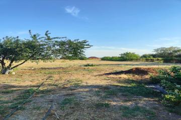 Фото №1: Земельный участок 19 сот. - Козет, мкр. Центральный, ул. Центральная, 16