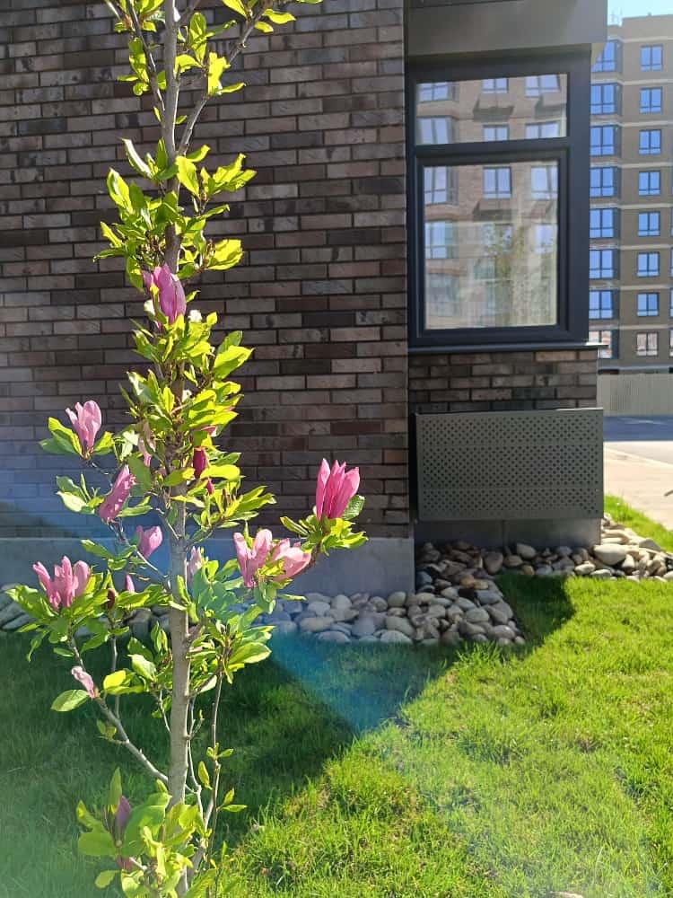 Фото №12: 3-комнатная квартира 59 м² - Краснодар, Прикубанский внутригородской округ, мкр. жилой комплекс Спортивная Деревня, ул. имени Генерала Корнилова, 14к1