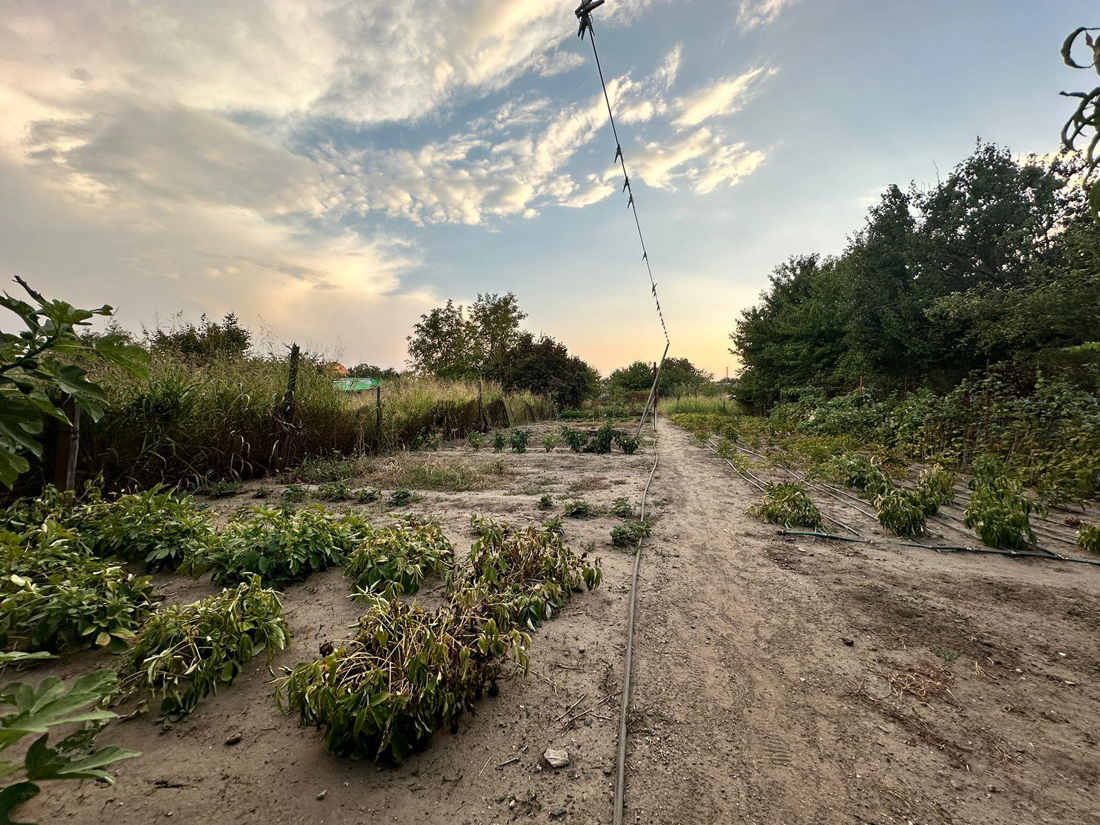 Фото №8: Дом 63 м² + 10 сот. - Ленина, мкр. Карасунский внутригородской округ, ул. Хуторская, 30