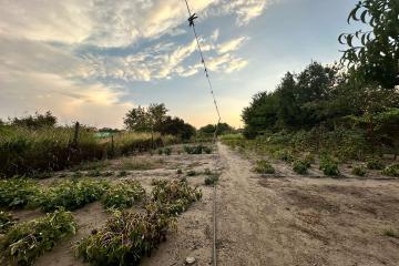 Фото №4: Дом 63 м² - Ленина, мкр. Карасунский внутригородской округ, ул. Хуторская, 30