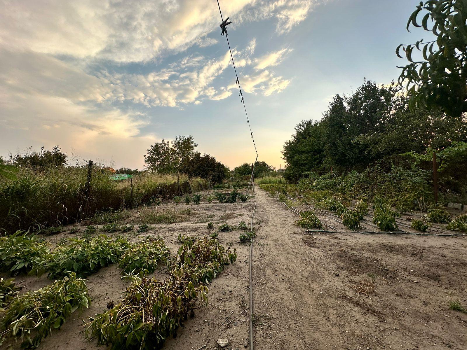 Фото №4: Дом 63 м² + 10 сот. - Ленина, мкр. Карасунский внутригородской округ, ул. Хуторская, 30