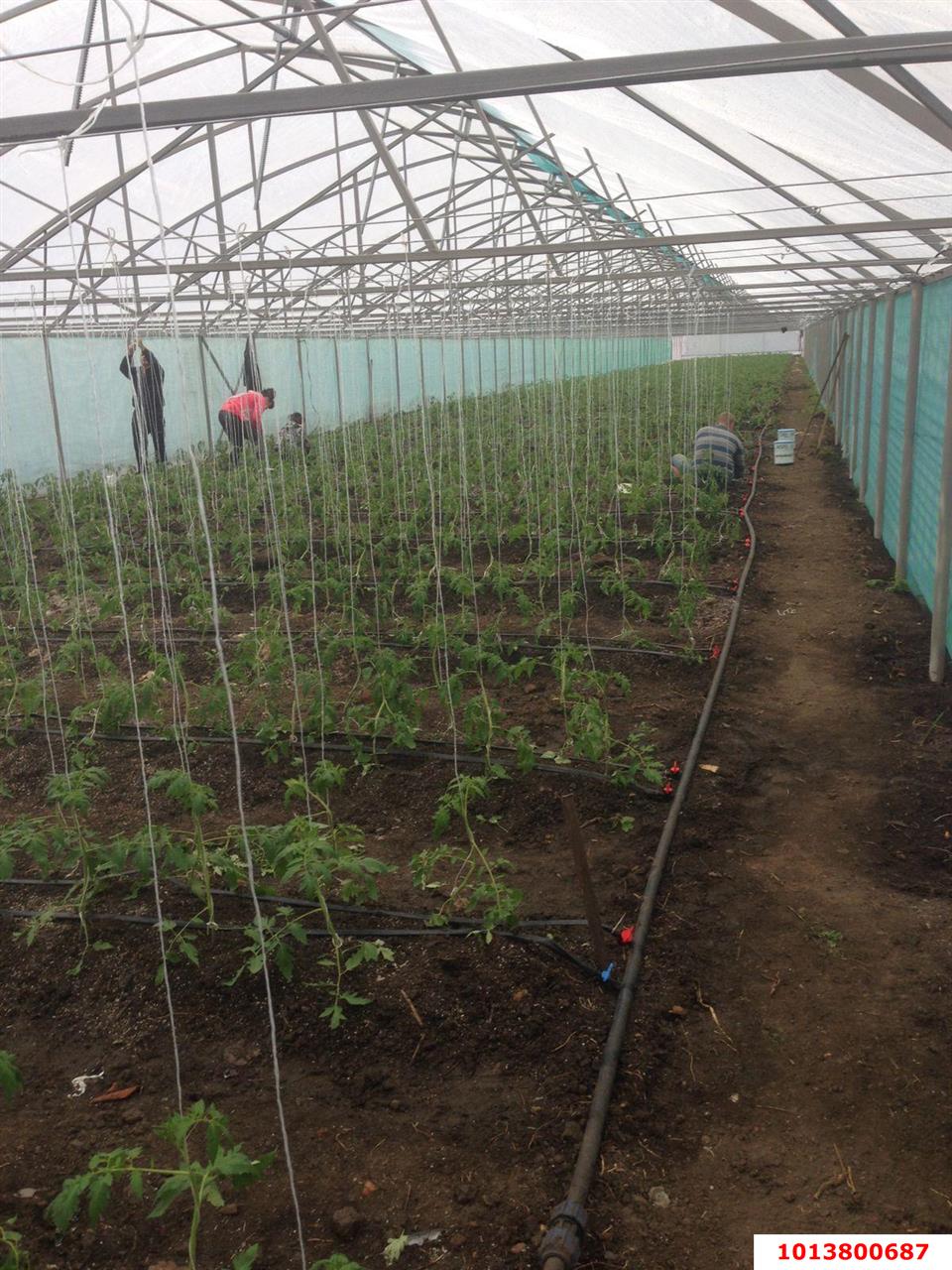 Фото №5: Коммерция 63 м² - 