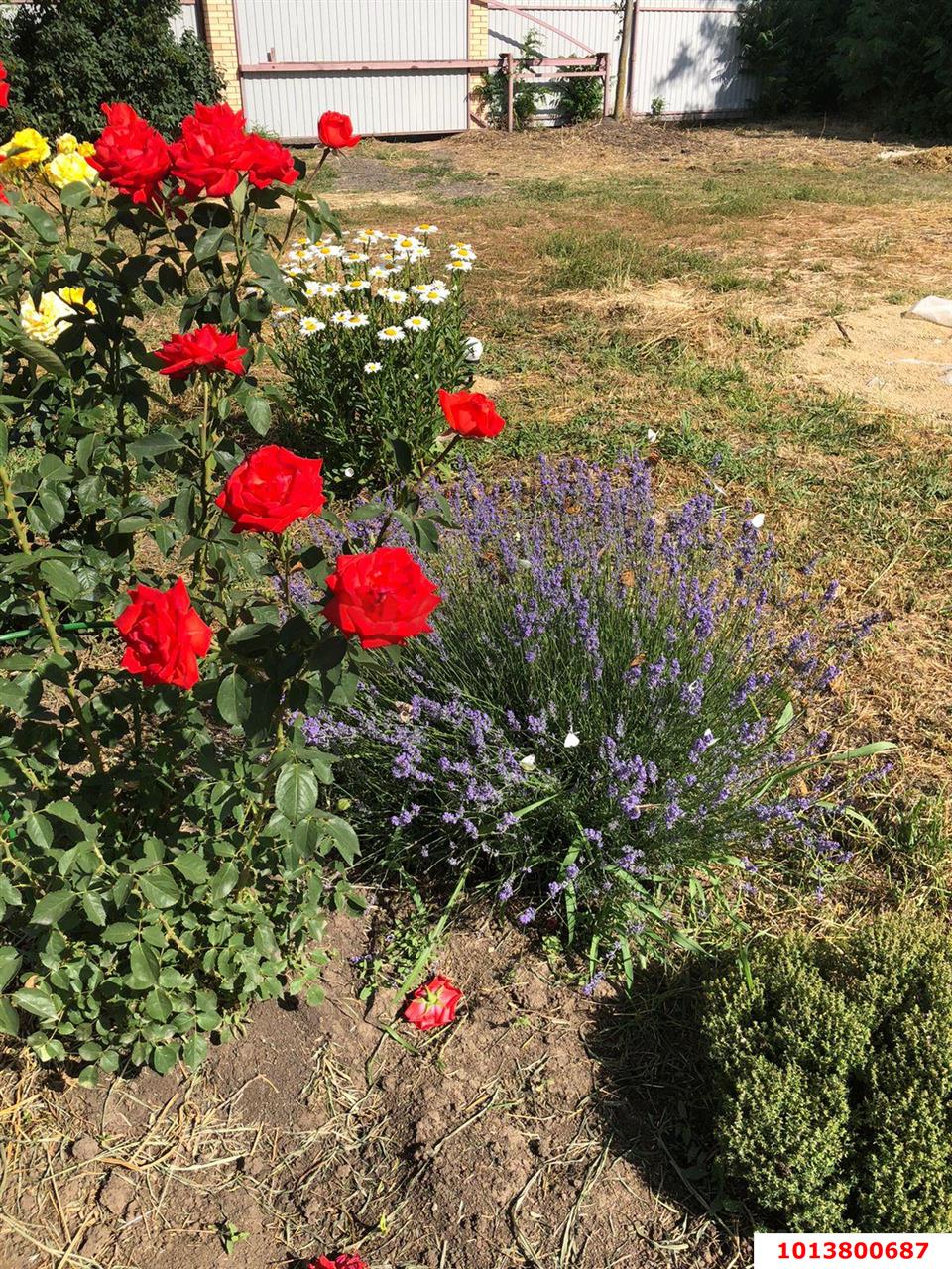 Фото №4: Коммерция 63 м² - 