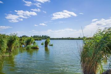 Фото №2: Дом 400 м² - Пластуновская, мкр. Почтовый, ул. Степная, 57
