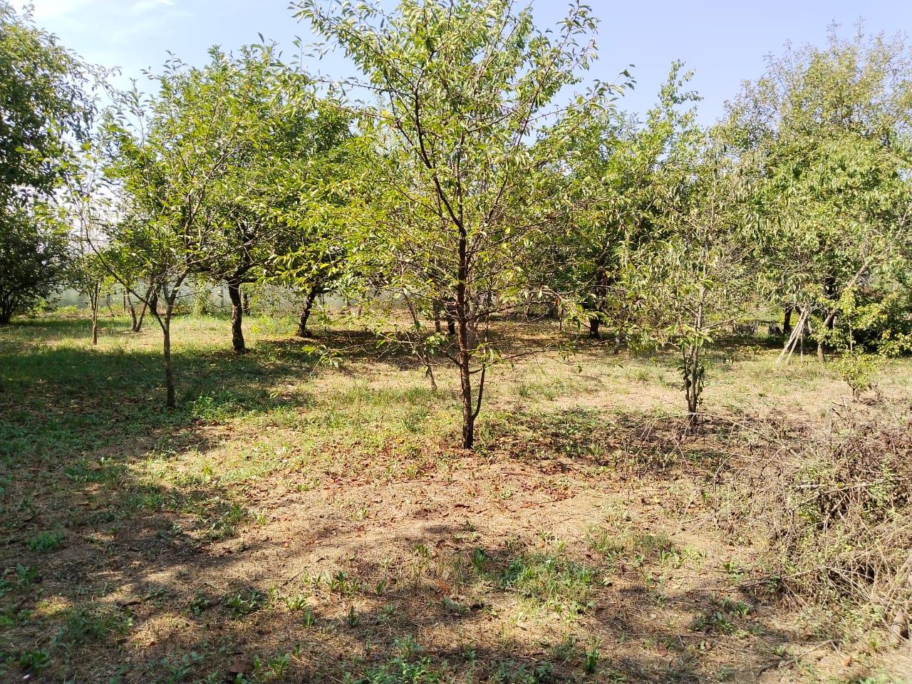 Фото №8: Дом 86 м² + 18.96 сот. - Убинская, Карасунский внутригородской округ, днт Знаменский, ул. Центральная, 31