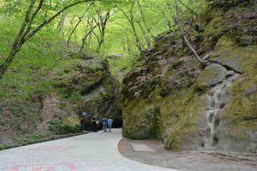 Фото №5: Земельный участок 5.32 сот. - Безымянное, мкр. Дубинка, ул. Октябрьская, 7