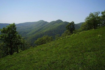 Фото №3: Земельный участок под ИЖС 5.32 сот. - Безымянное, ул. Октябрьская, 7