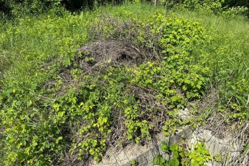 Фото №4: Участок садоводство 3 сот. - Елизаветинская, ст Автомобилист-2, ул. 1-я Линия, 12