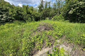 Фото №3: Участок садоводство 3 сот. - Елизаветинская, ст Автомобилист-2, ул. 1-я Линия, 12