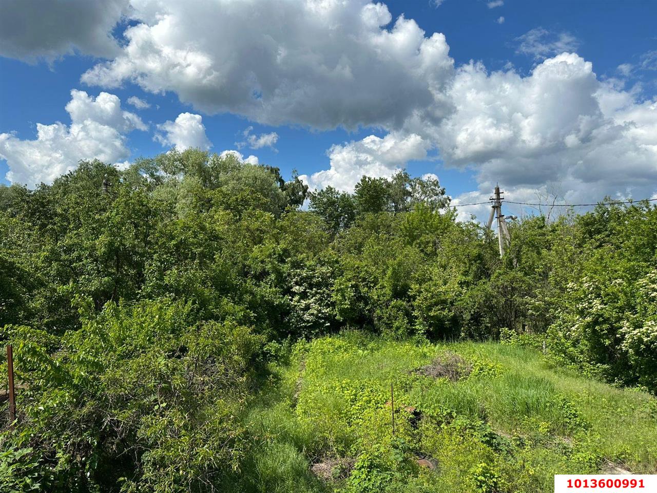 Фото №5: Участок садоводство 3 сот. - Елизаветинская, Автомобилист-2, ул. 1-я Линия, 12