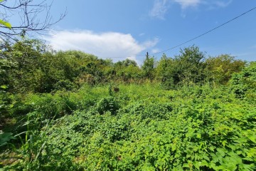 Фото №1: Участок садоводство 3 сот. - Елизаветинская, ст Автомобилист-2, ул. 1-я Линия, 12