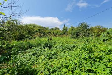 Фото №1: Земельный участок 3 сот. - Елизаветинская, ст Автомобилист-2, ул. 1-я Линия, 12