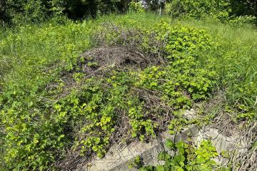 Фото №4: Земельный участок 3 сот. - Елизаветинская, ст Автомобилист-2, ул. 1-я Линия, 12