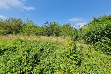 Фото №2: Земельный участок 3 сот. - Елизаветинская, ст Автомобилист-2, ул. 1-я Линия, 12