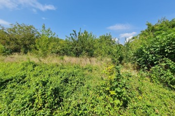 Фото №2: Участок садоводство 3 сот. - Елизаветинская, ст Автомобилист-2, ул. 1-я Линия, 12