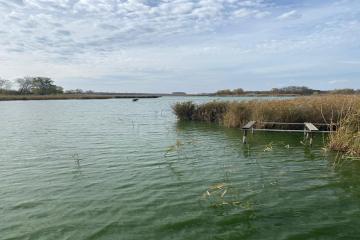 Фото №3: Земельный участок 11.41 сот. - Великовечное, мкр. Гидростроителей, ул. Первомайская, 53