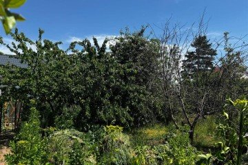 Фото №3: Коммерческая земля 6 сот. - Сад Кубани, мкр. Прикубанский внутригородской округ, ул. Лесная, 118