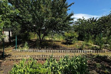 Фото №2: Коммерческая земля 6 сот. - Сад Кубани, мкр. Прикубанский внутригородской округ, ул. Лесная, 118