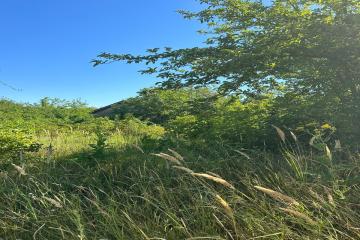 Фото №5: Земельный участок 4 сот. - Елизаветинская, ст Мечта, ул. Солнечная, 53