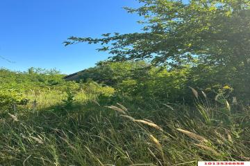 Фото №5: Земельный участок 4 сот. - Елизаветинская, ст Мечта, ул. Солнечная, 53