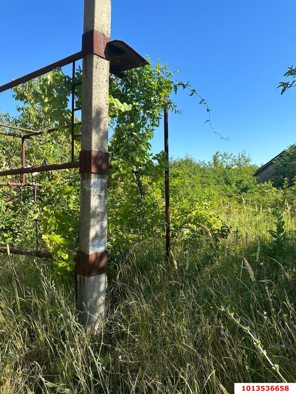 Фото №3: Земельный участок 4 сот. - Елизаветинская, Прикубанский внутригородской округ, ст Мечта, ул. Солнечная, 53