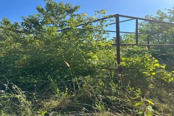 Фото №2: Земельный участок 4 сот. - Елизаветинская, ст Мечта, ул. Солнечная, 53