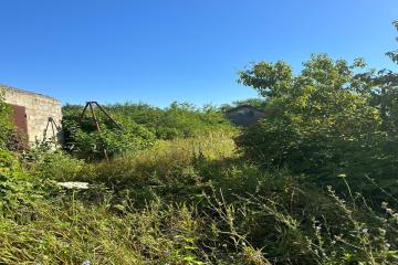 Фото №4: Земельный участок 4 сот. - Елизаветинская, ст Мечта, 40