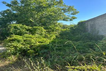 Фото №1: Земельный участок 4 сот. - Елизаветинская, ст Мечта, 40