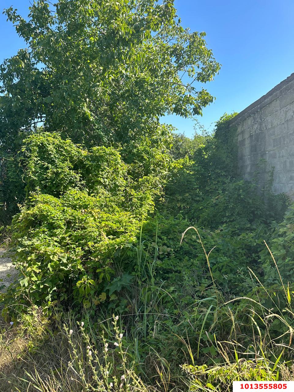 Фото №1: Земельный участок 4 сот. - Елизаветинская, 40