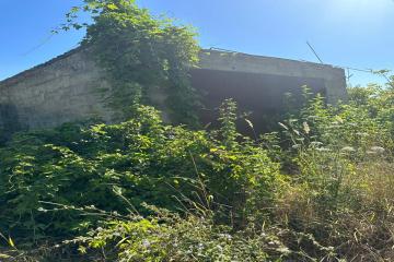 Фото №2: Земельный участок 4 сот. - Елизаветинская, ст Мечта, 40