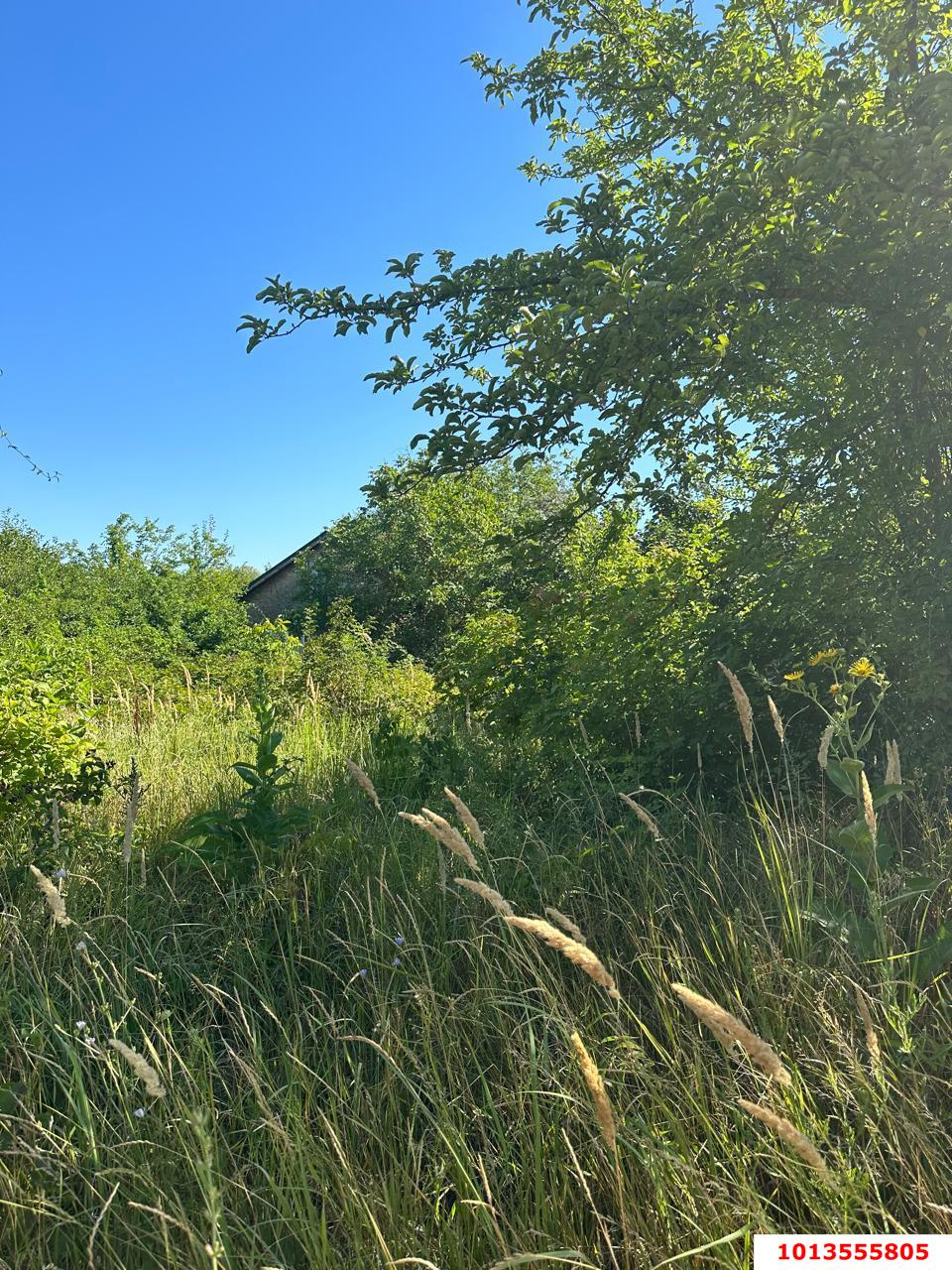 Фото №5: Земельный участок 4 сот. - Елизаветинская, 40