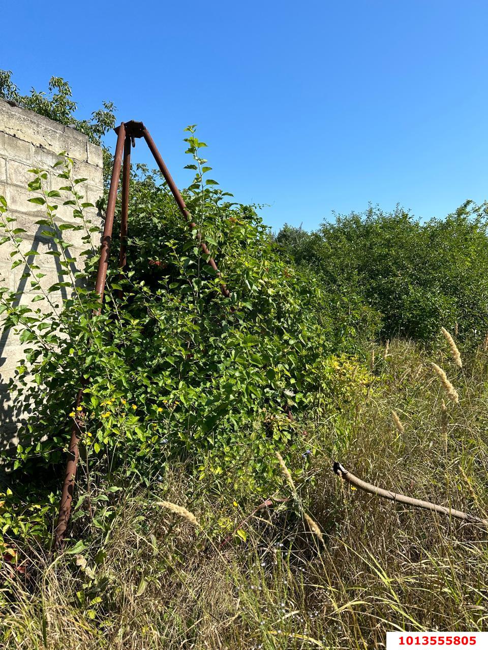 Фото №8: Земельный участок 4 сот. - Елизаветинская, 40