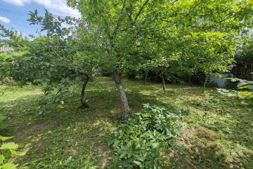 Фото №5: Земельный участок 4.43 сот. - Елизаветинская, ст Нива, ул. Сиреневая, 25