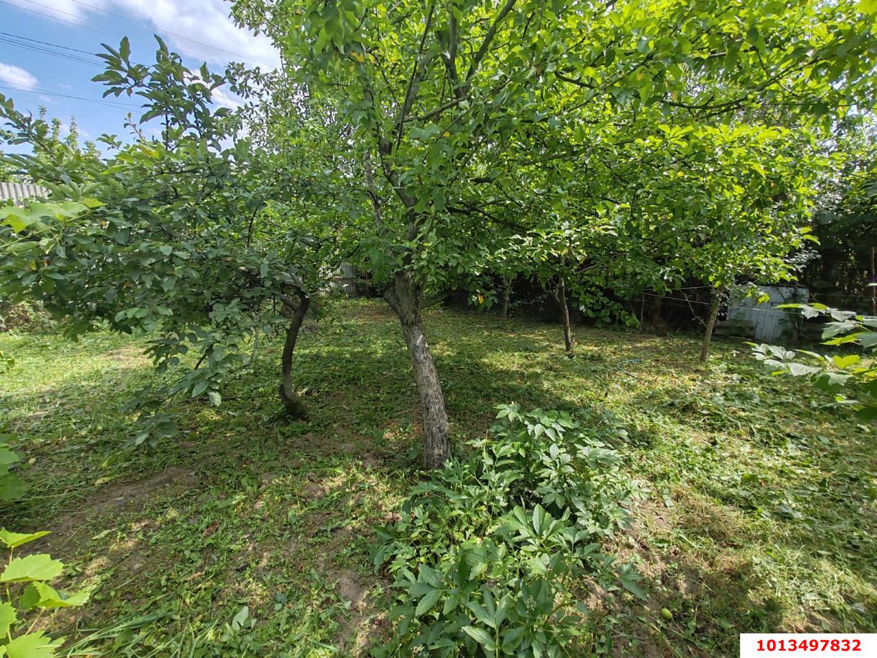 Фото №5: Земельный участок 4.43 сот. - Елизаветинская, Прикубанский внутригородской округ, ст Нива, ул. Сиреневая, 25