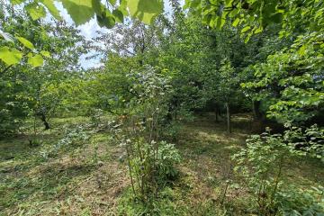 Фото №4: Земельный участок 4.43 сот. - Елизаветинская, ст Нива, ул. Сиреневая, 25