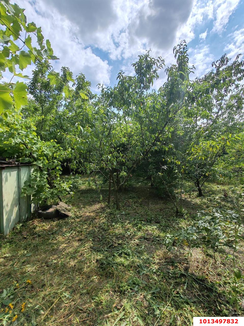 Фото №6: Земельный участок 4.43 сот. - Елизаветинская, Прикубанский внутригородской округ, ст Нива, ул. Сиреневая, 25