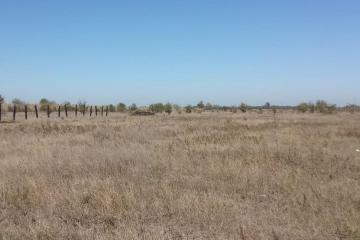 Фото №2: Земельный участок 20 сот. - Афипсип, мкр. жилой комплекс Абрикосово, ул. Степная, 1