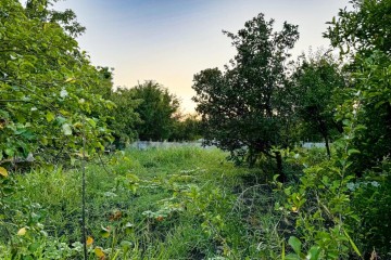 Фото №4: Участок садоводство 9.73 сот. - Октябрьский, ст Радужное, ул. Оранжевая, 105